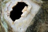 Petrified Wood (Woodworthia) Round With Crystals - Zimbabwe #167927-1